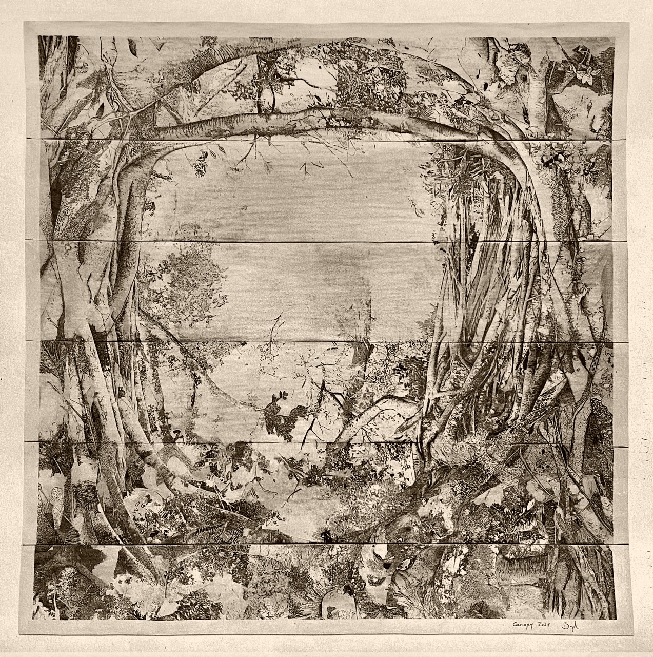 canopy-signer-v2-Grande